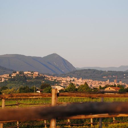 Agriturismo Il Barco Spello Ngoại thất bức ảnh