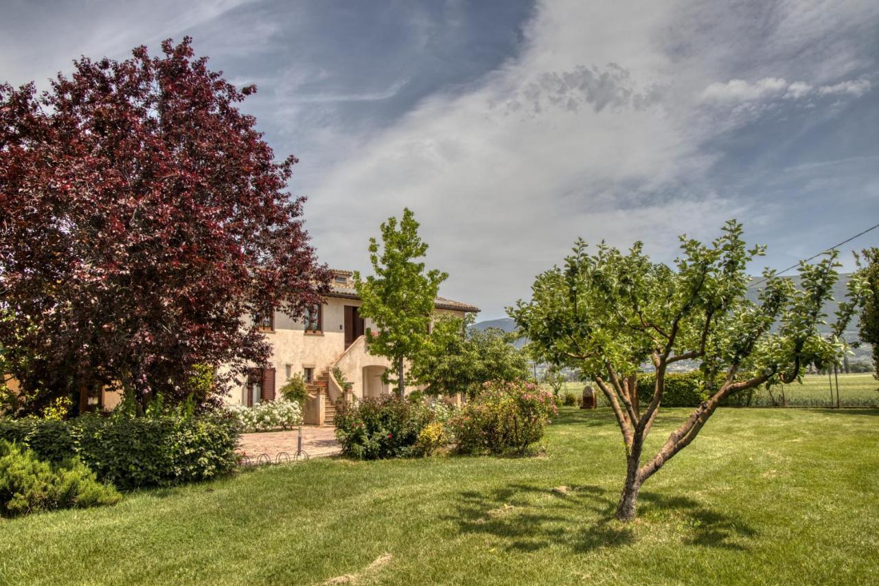Agriturismo Il Barco Spello Ngoại thất bức ảnh