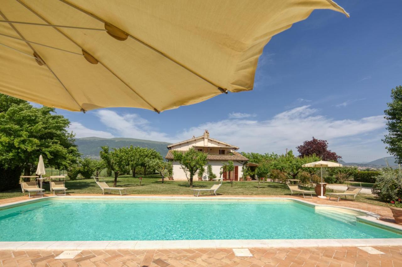 Agriturismo Il Barco Spello Ngoại thất bức ảnh