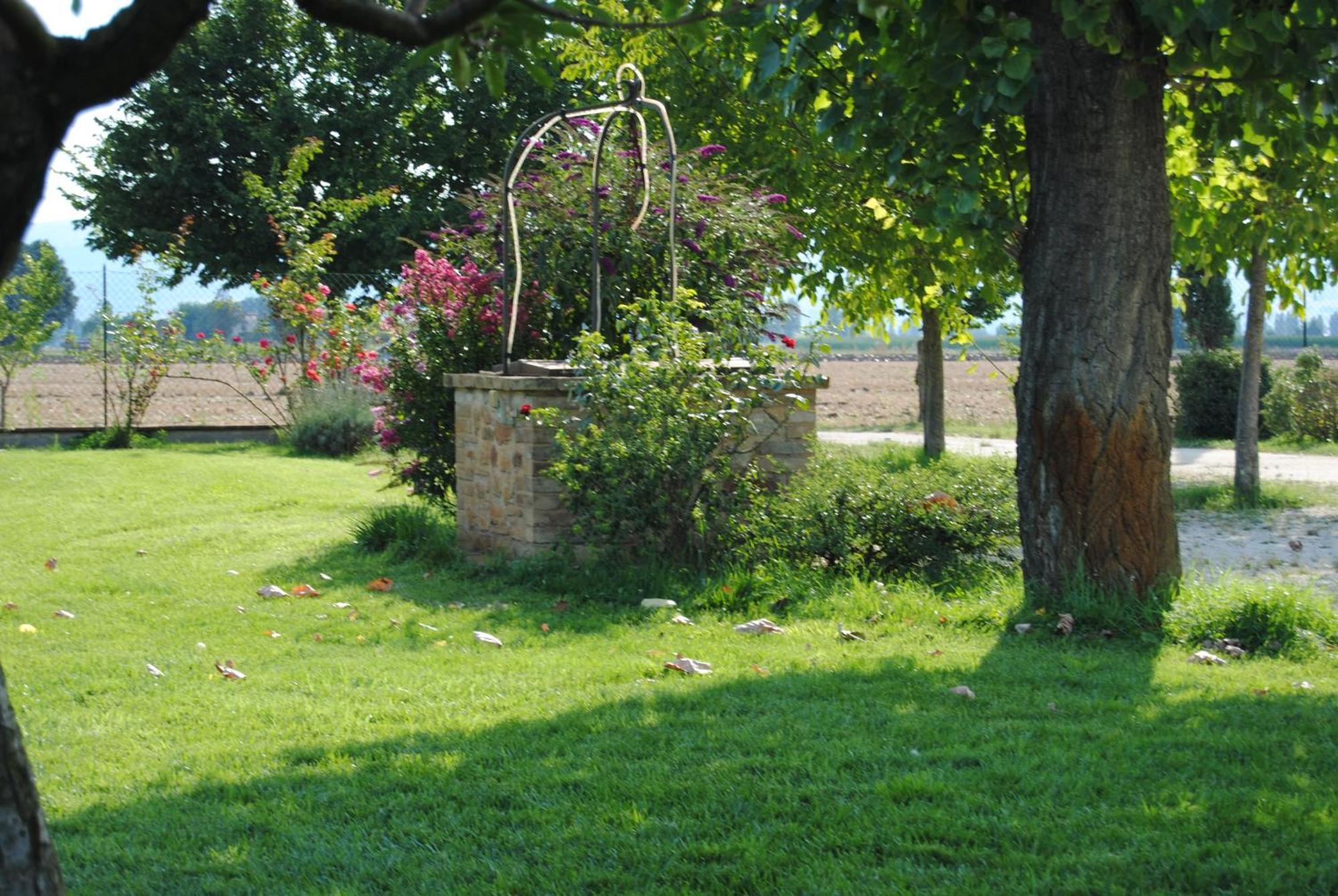Agriturismo Il Barco Spello Ngoại thất bức ảnh