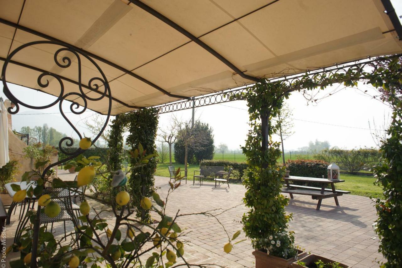 Agriturismo Il Barco Spello Ngoại thất bức ảnh