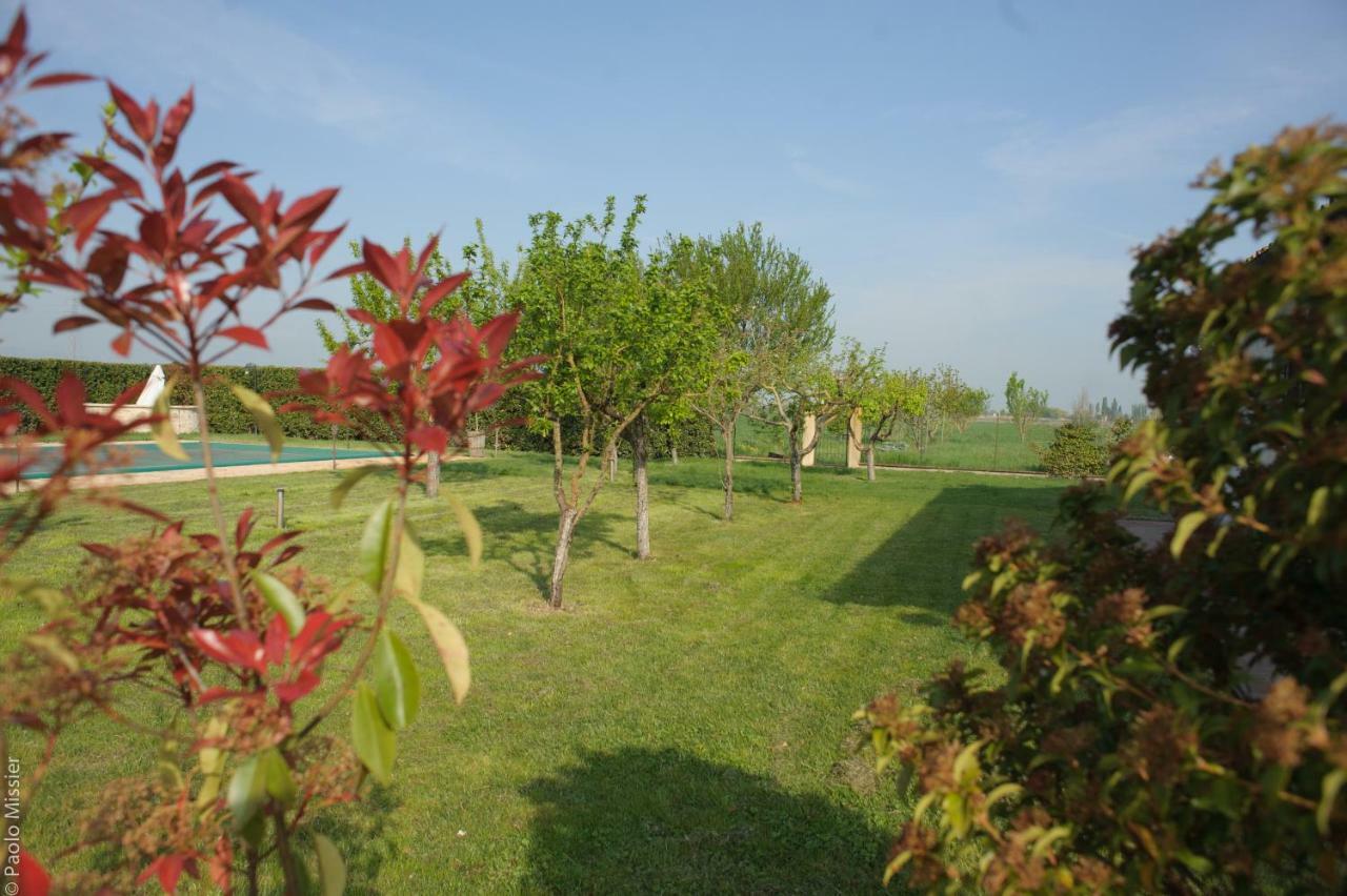 Agriturismo Il Barco Spello Ngoại thất bức ảnh